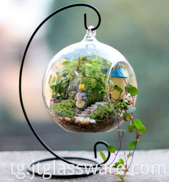 Green Plant Glass Terrarium 3